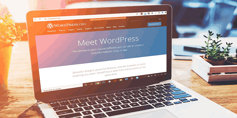 Hướng dẫn dựng Web bằng WordPress chi tiết